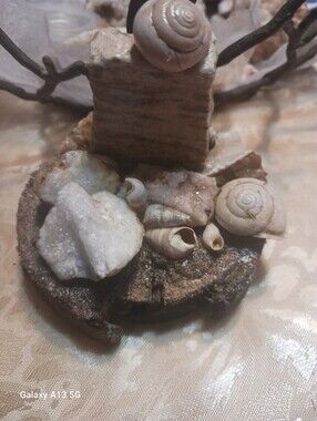 Decorative Neutral Beige Shell & Quartz - size of A Drink Coaster